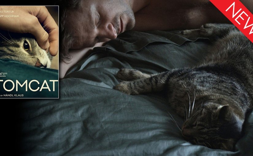 DEKKOO DISPATCH 031 – ‘AMIAS’ AND&nbsp;‘TOMCAT’