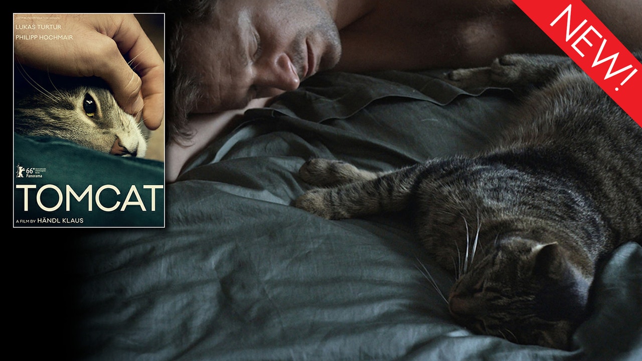 ad0196b4-e1ba-4028-880e-47fd03d4e42c-32bdf99a