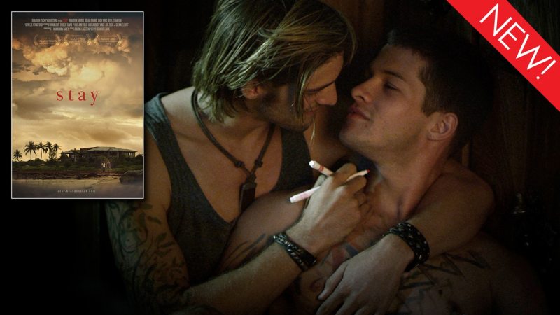 Watch the gay short film, 'Stay' on Dekkoo!