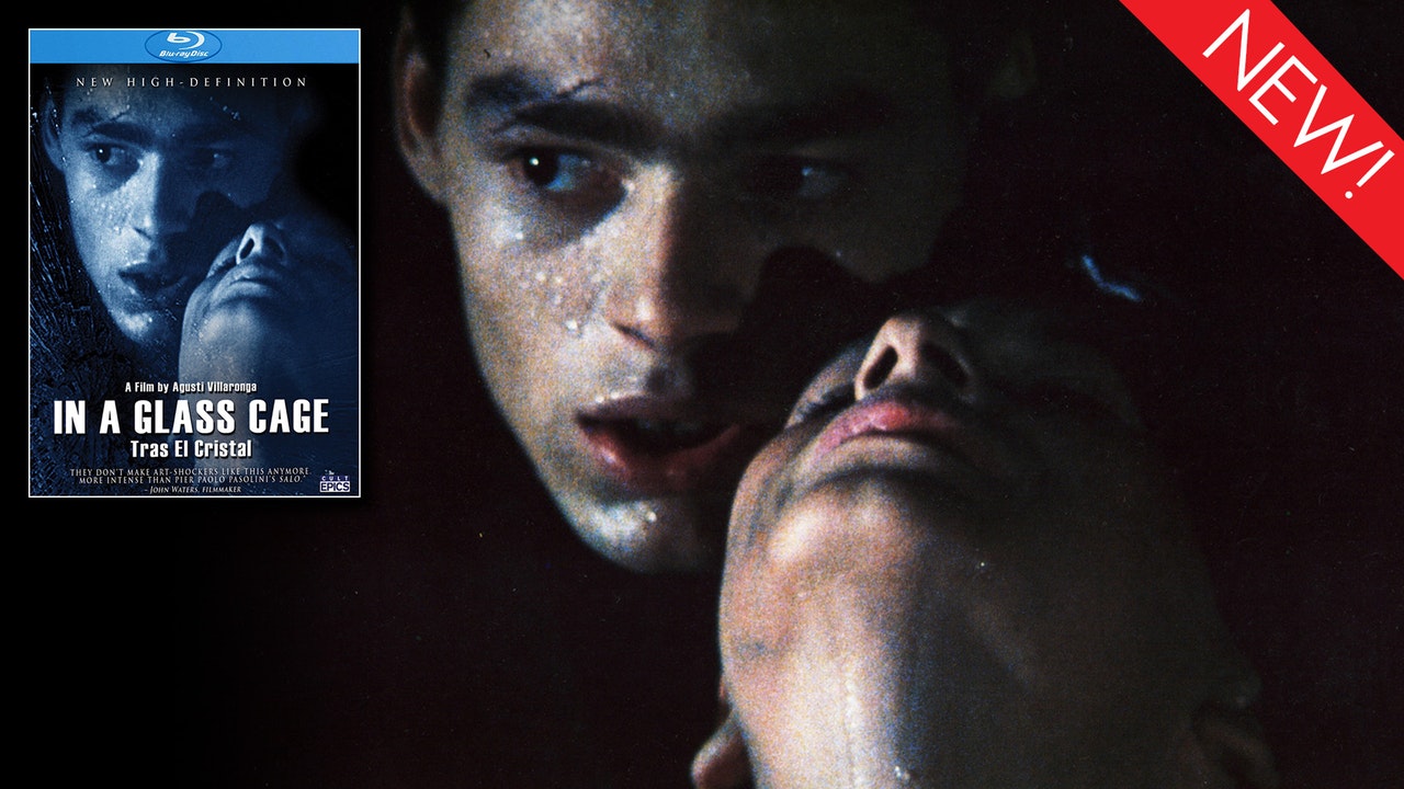 This is the artwork for the film In A Glass Cage
