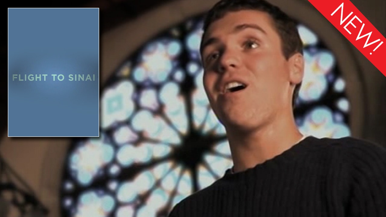 This is the art for the gay short film 'Flight to Sinai'
