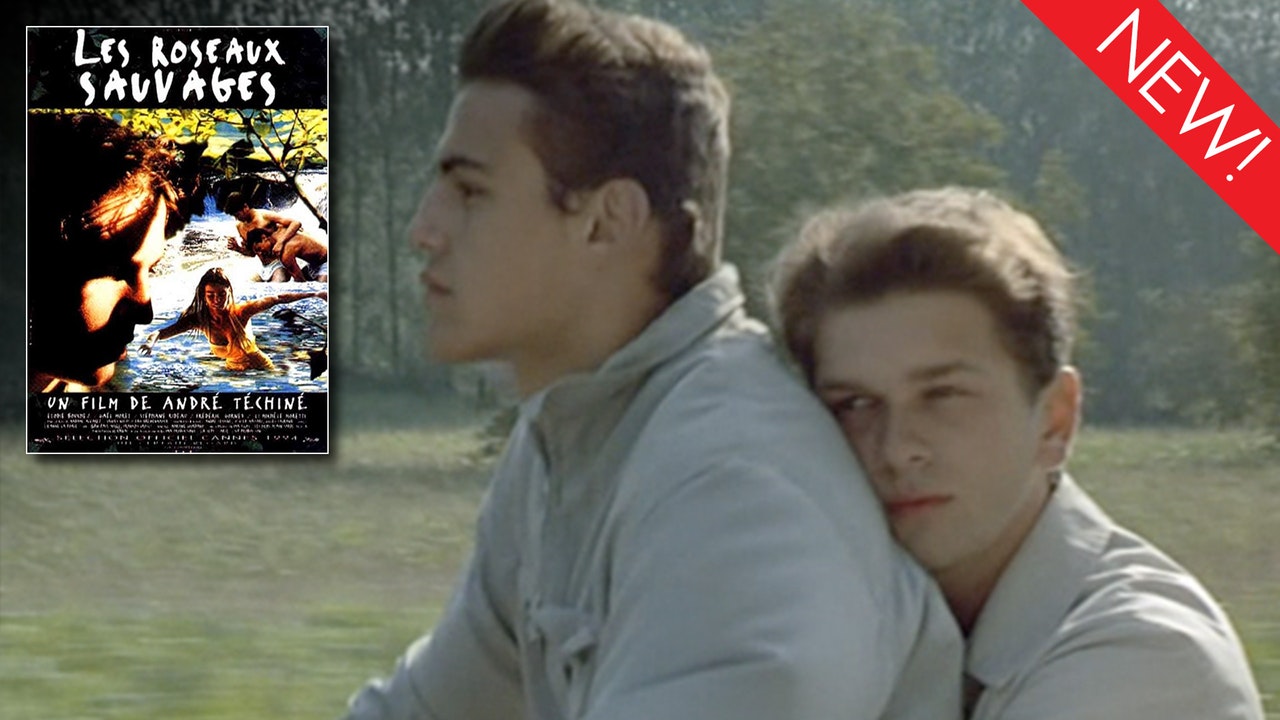 This is the art for the gay film, 'Wild Reeds'