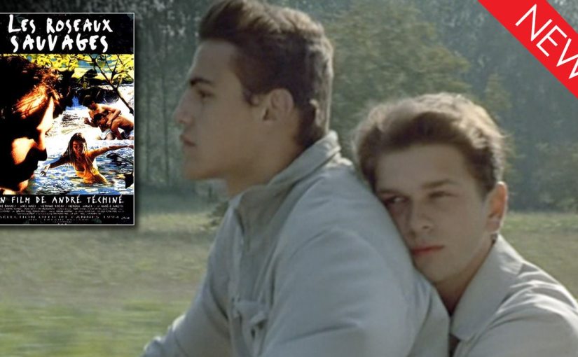 DEKKOO DISPATCH 058 – ‘WILD&nbsp;REEDS’