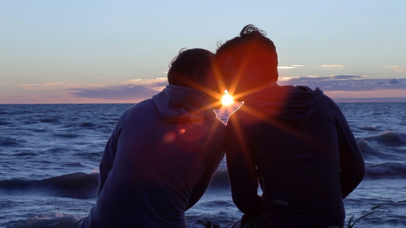 800full-in-bloom-screenshot