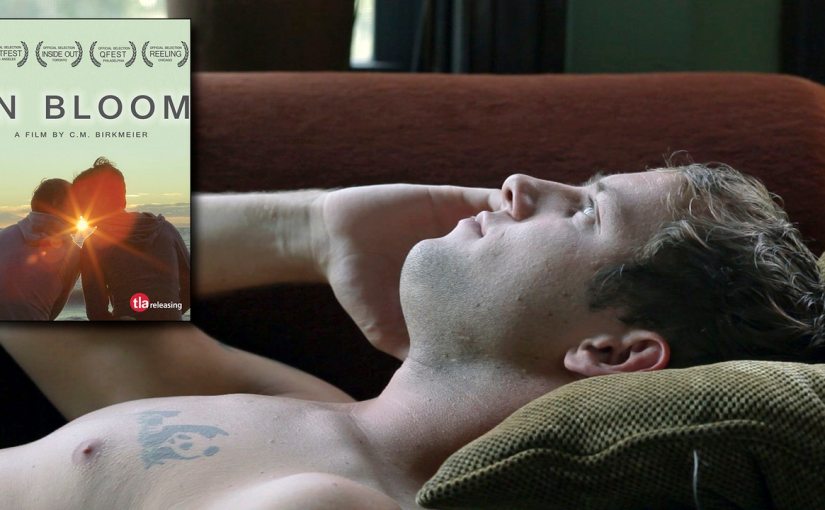 DEKKOO DISPATCH 064 – ‘IN&nbsp;BLOOM’