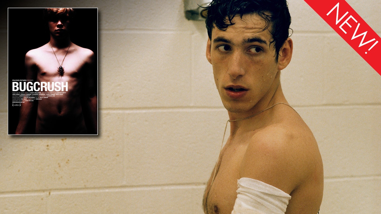 This is the art for the gay short film, 'Bugcrush'