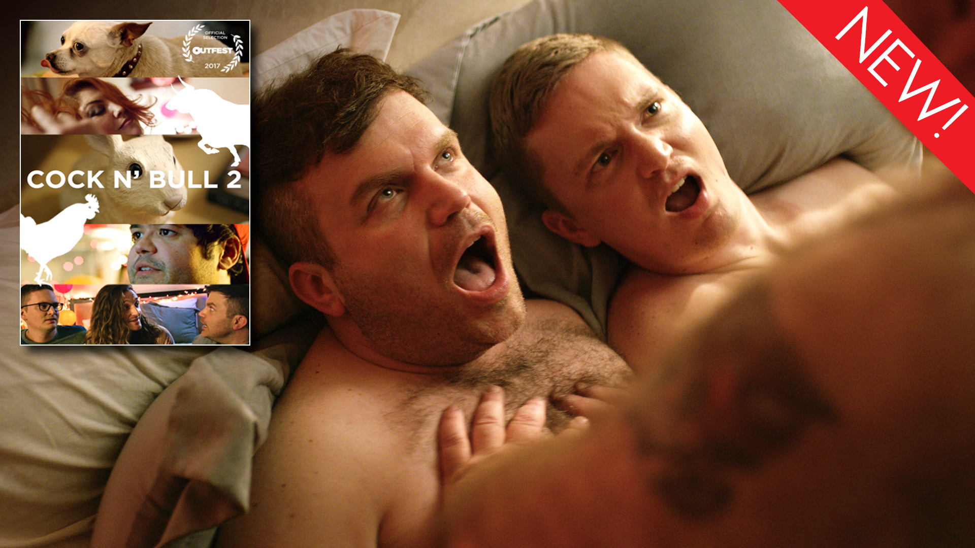 This is the art for the gay short film, 'Cock N' Bull 2'