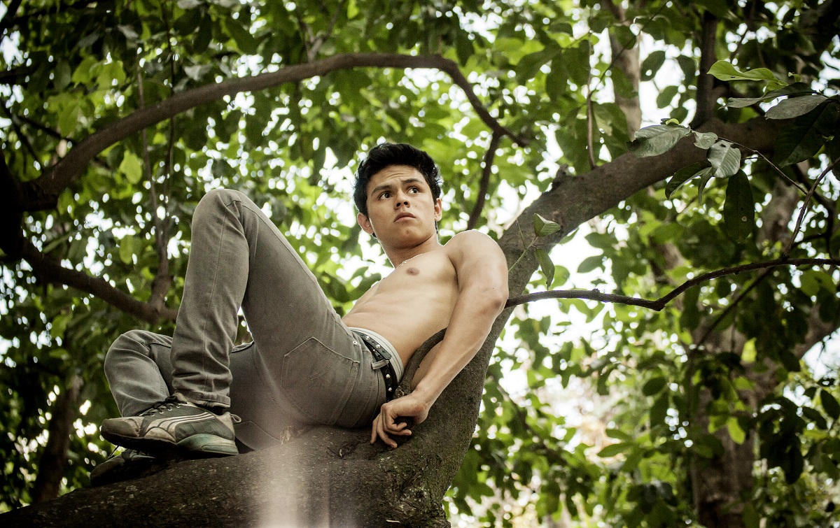 Diego Alvarez Garcia in Seeds