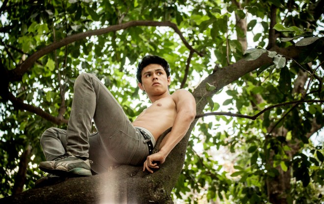 Diego Alvarez Garcia in Seeds