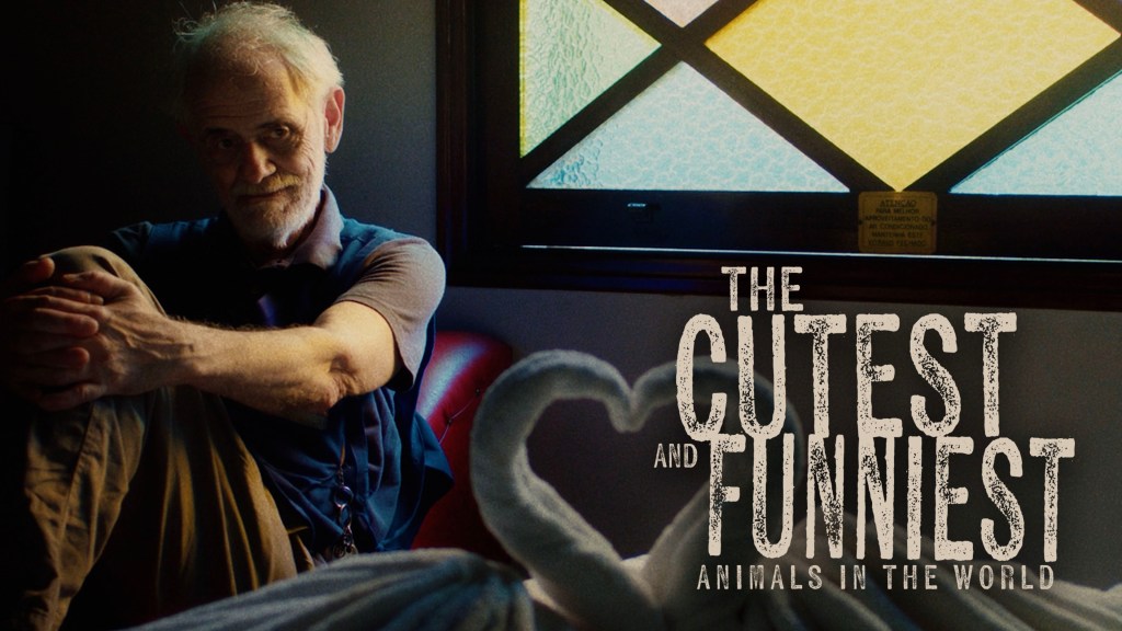 The Cutest and Funniest Animals in the World gay short film poster
