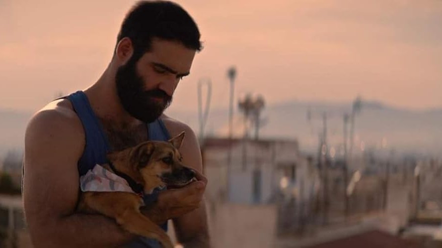 Carmen the rescue dog in the Greek gay comedy The Summer With Carmen